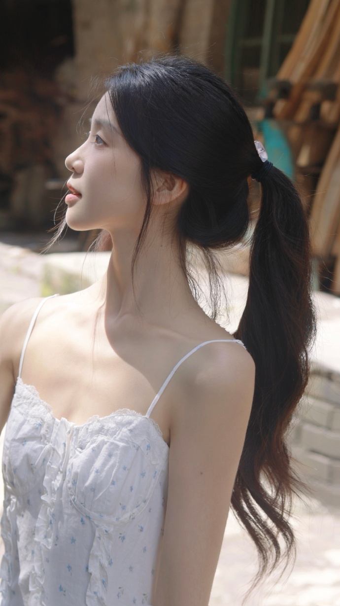 长月烬明 封面